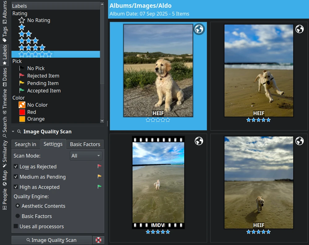 Albums View and Search Labels