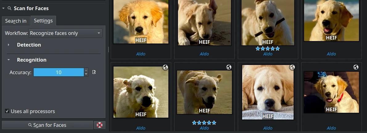 Face Management Maintenance Tool