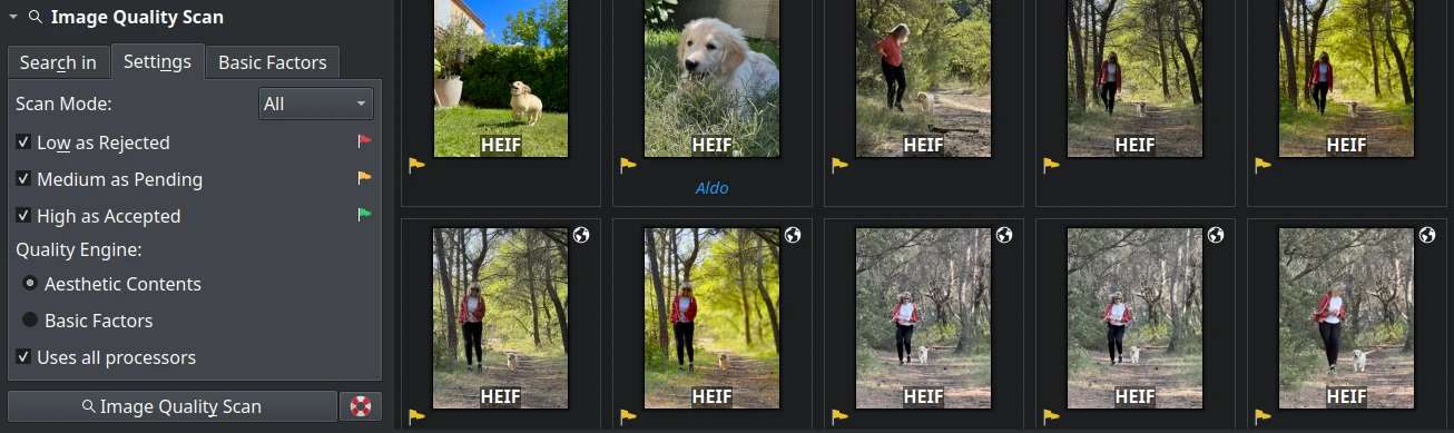 Aesthetic Detection Settings