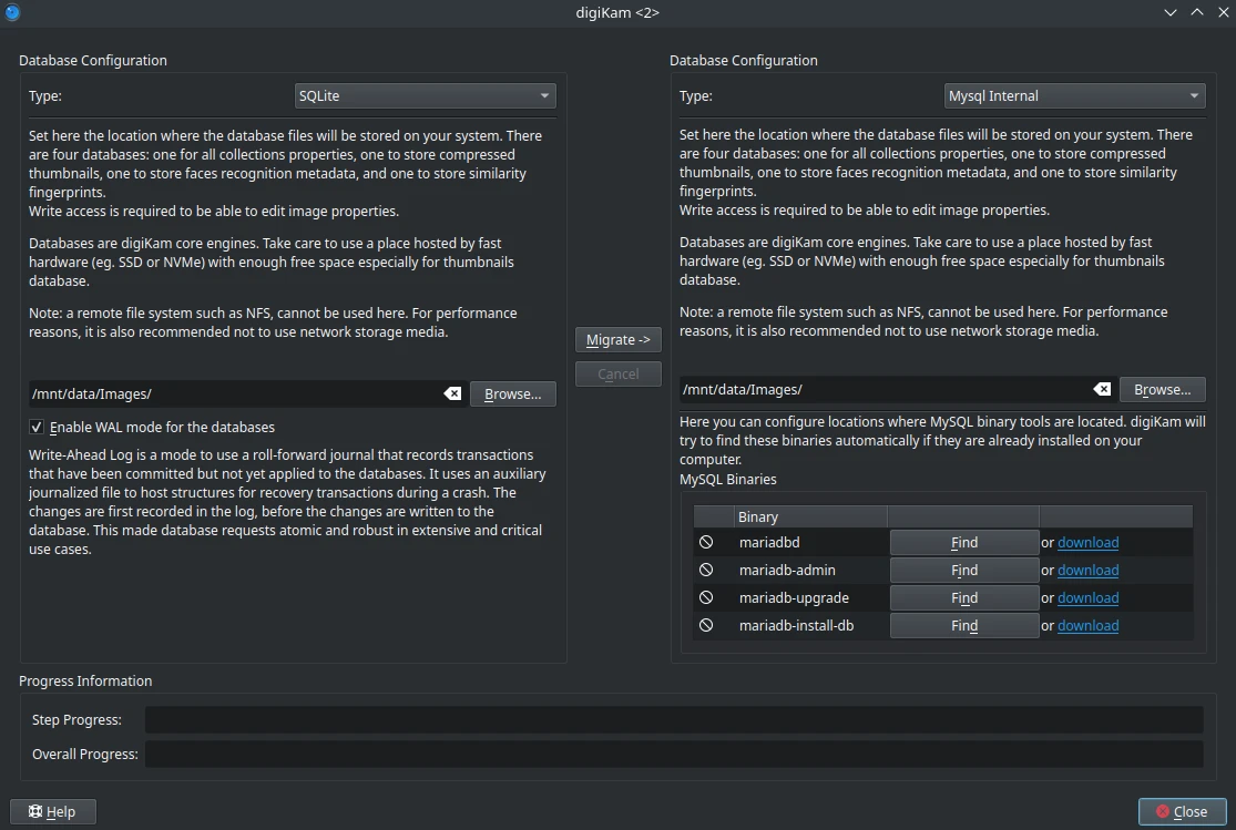 Database Maintenance