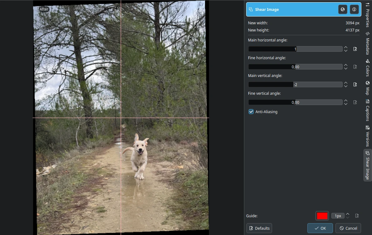 Shear Image Plugin
