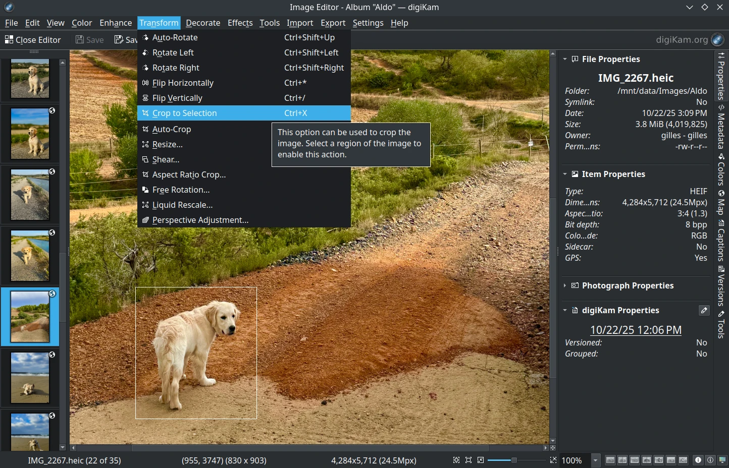 Image Editor Transform Menu