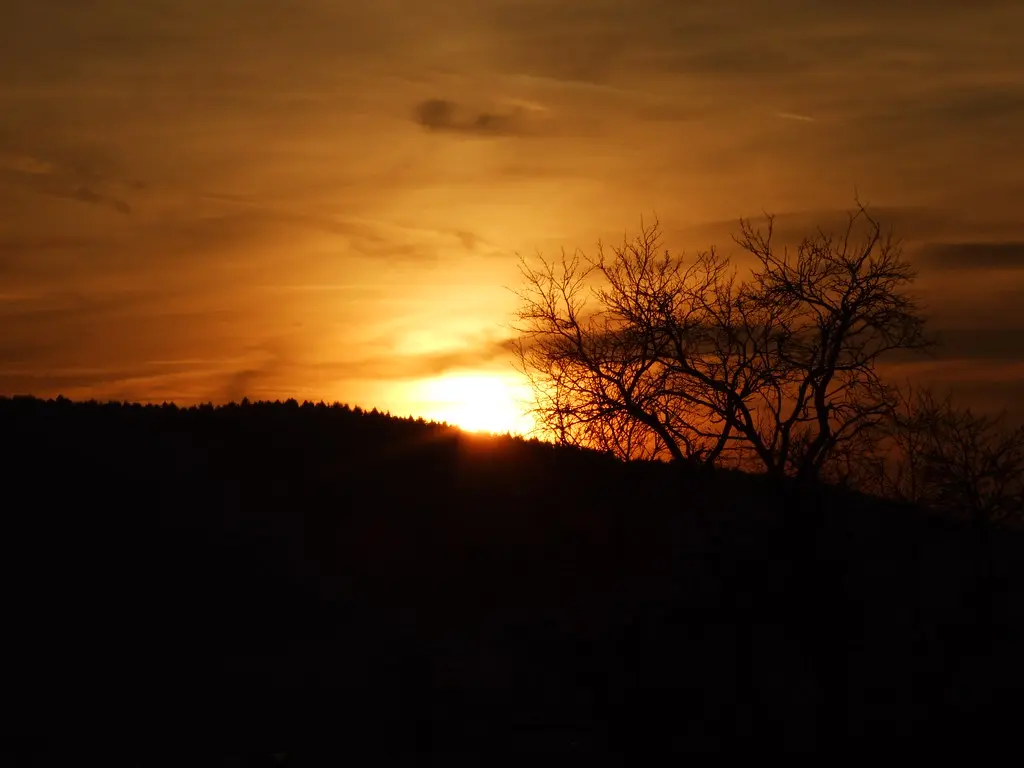 dscf2955