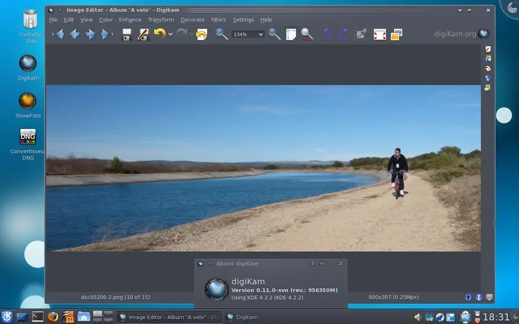 liquid-rescale-with-preservation-mask2