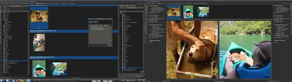 digiKam-5.5.0-facetags
