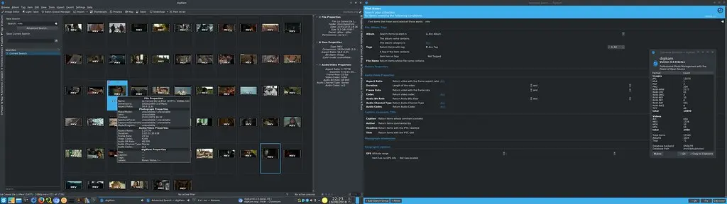 Virtual Search album displaying video and Advanced Search tool video options