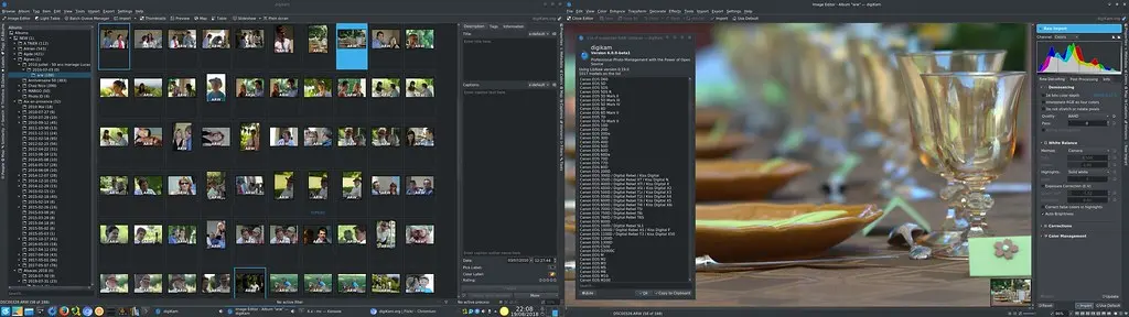 Image Editor Raw Import Tools Using Last Libraw 0.19