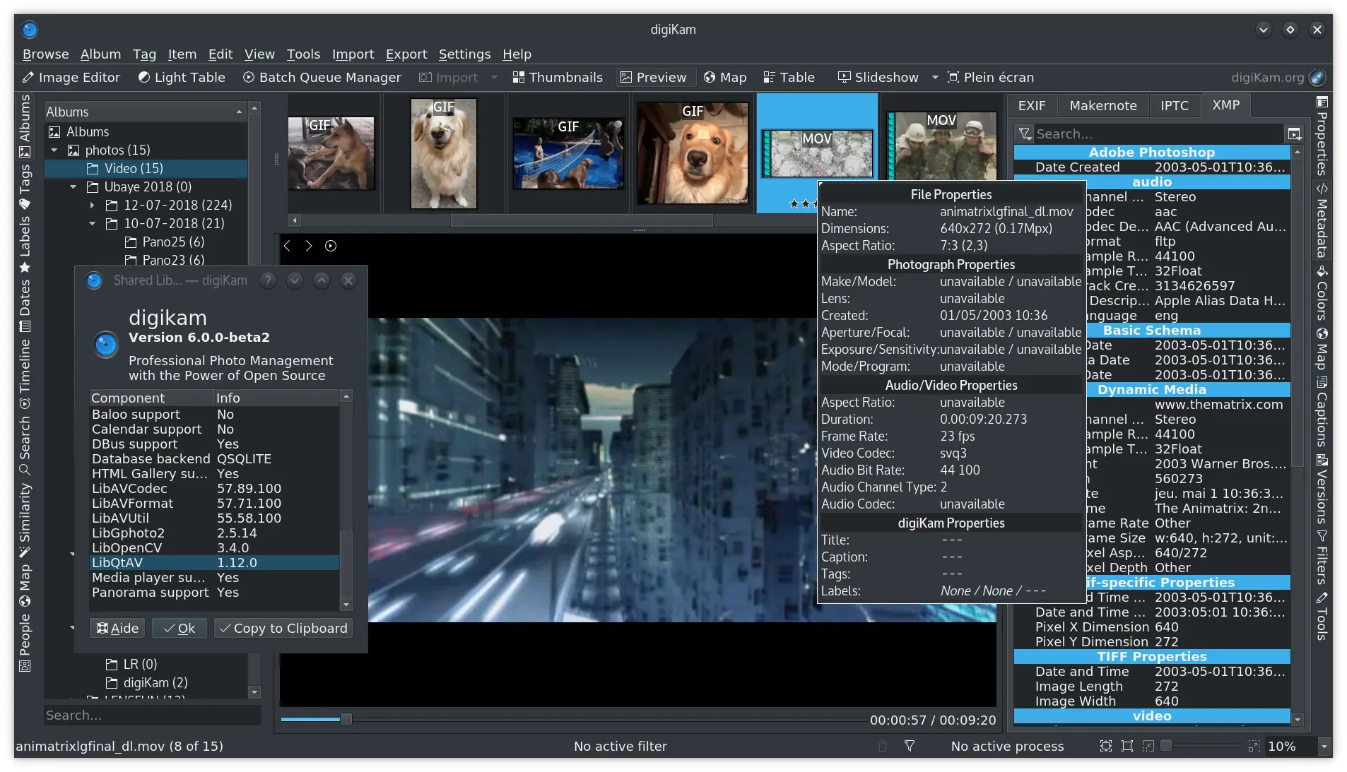 digiKam embedded video player