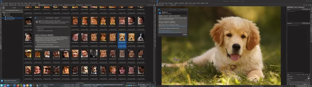 digiKam Faces Icon-view After Detection Process
