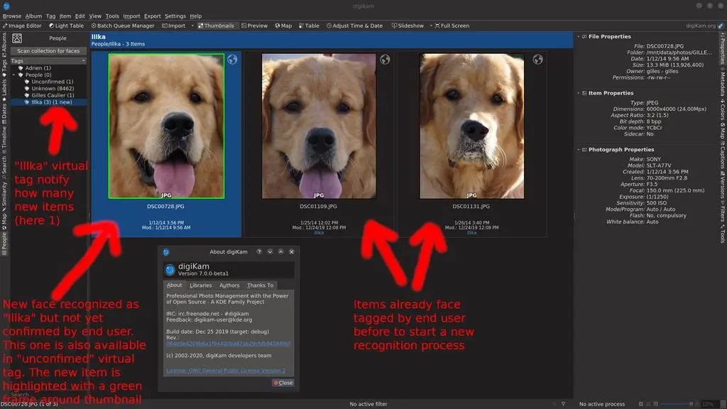 digiKam One New Dog-Face Recognized While Parsing Collections
