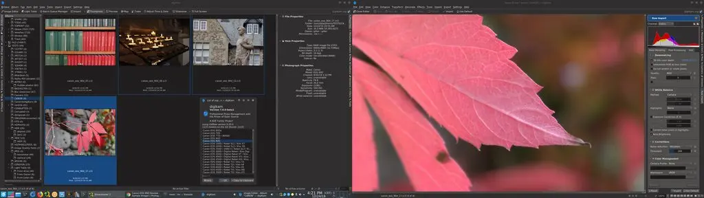 digikam 7.0.0 and Canon 90D CR3 RAW support