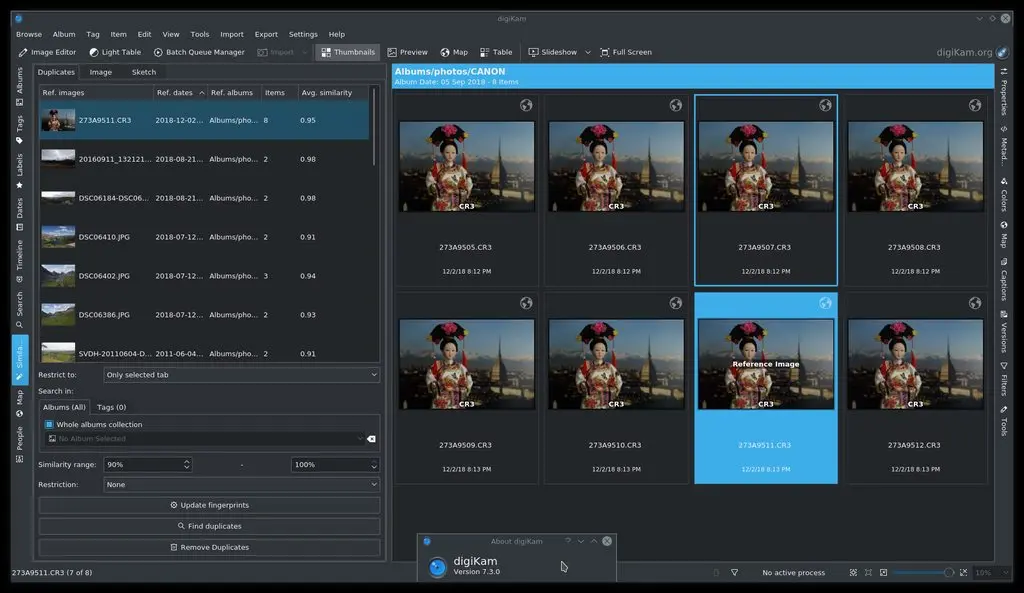 digiKam 7.3.0 Duplicates Finder in Action