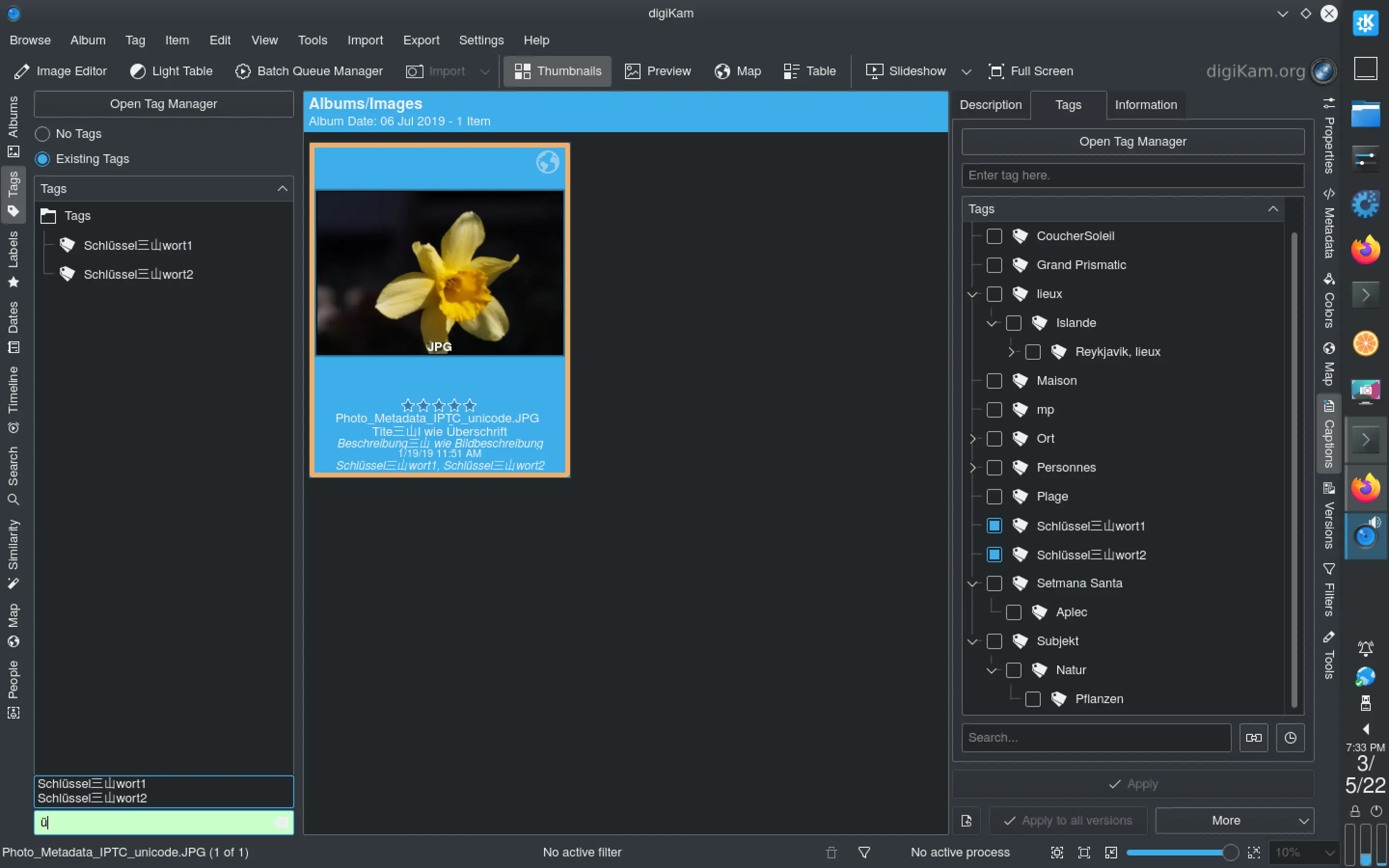 Entering non latin-1 characters in digiKam 7.6.0 tags search field