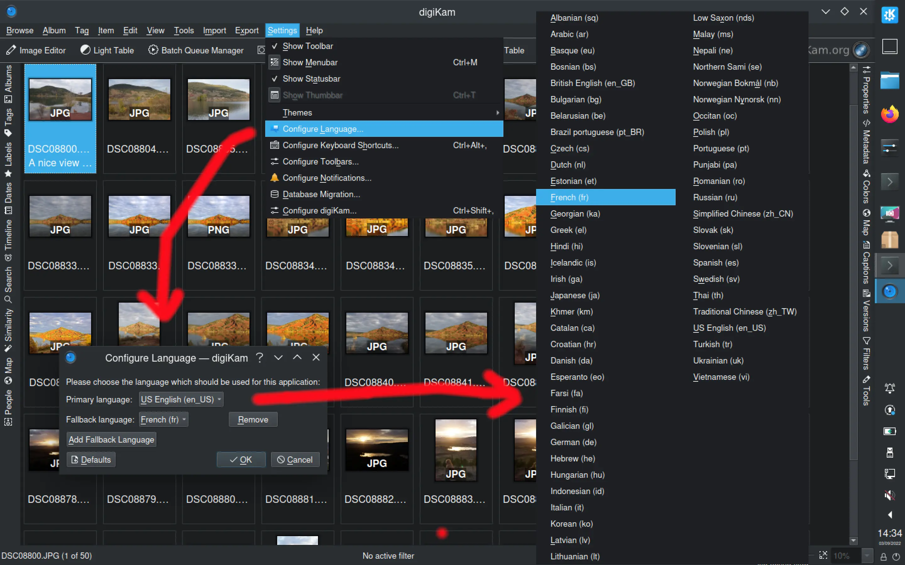digiKam 7.8.0 setup Languages dialog