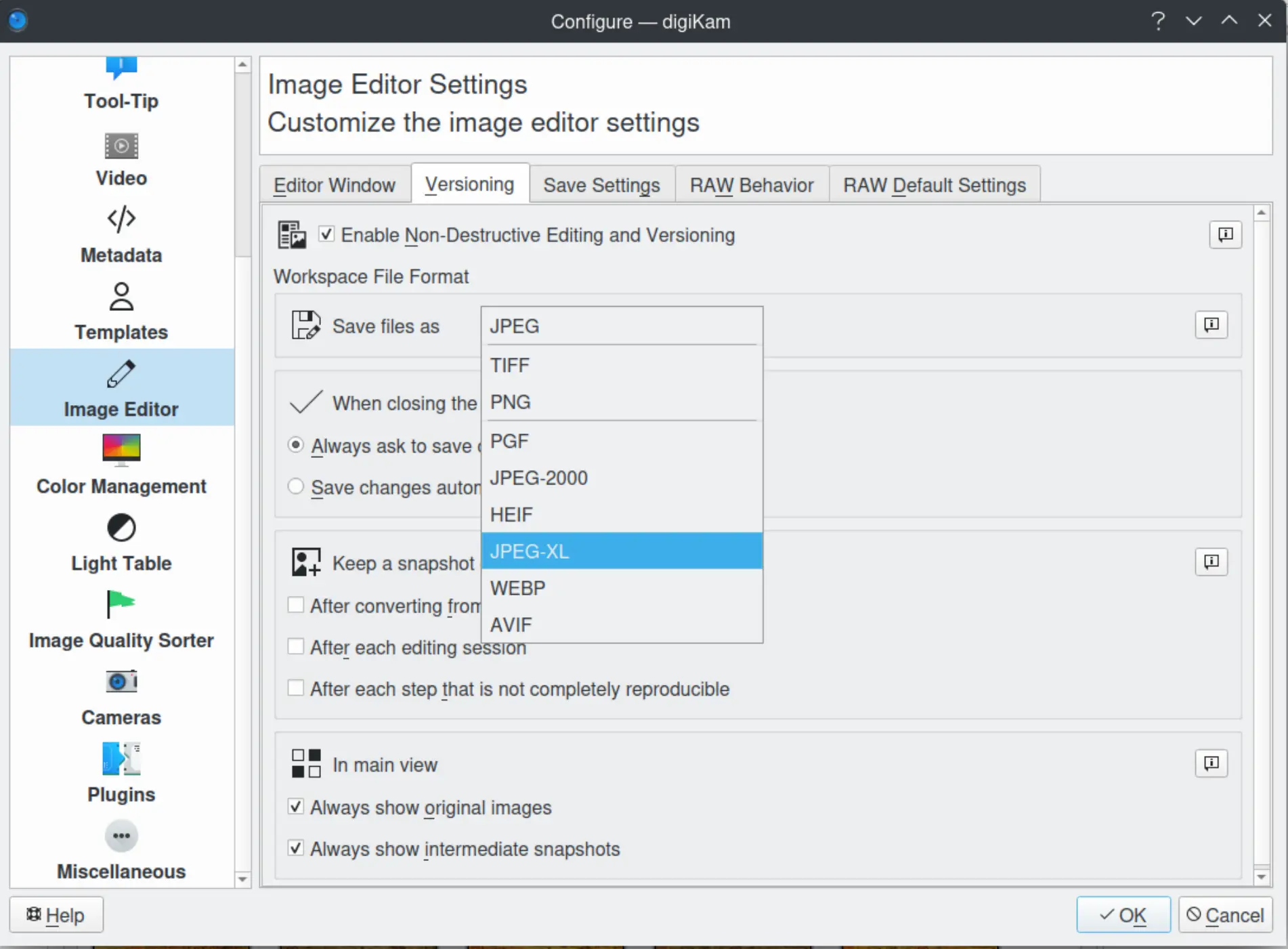The Image Editor Versioning format from configuration dialog