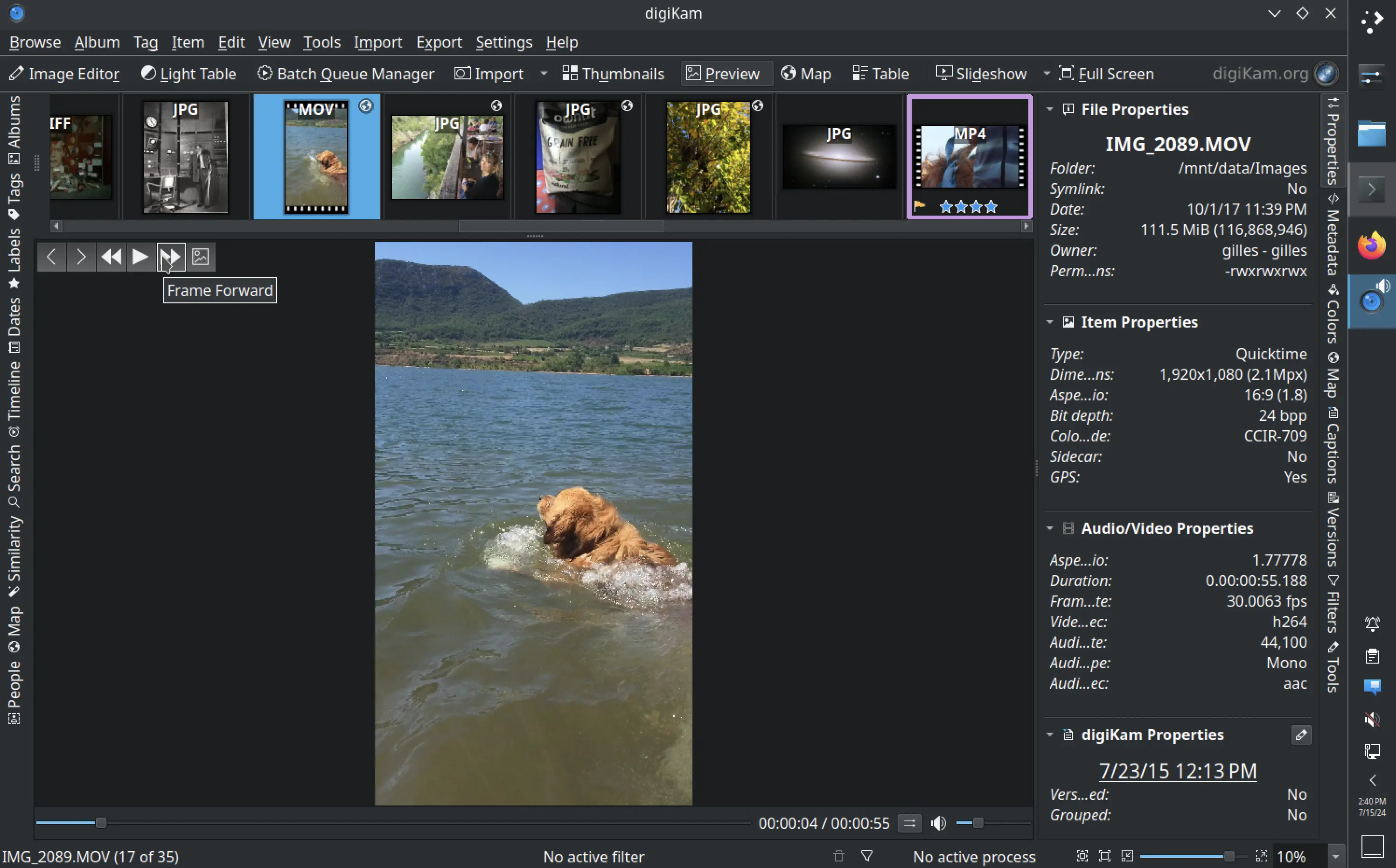 digiKam 8.4.0 Internal Media Player