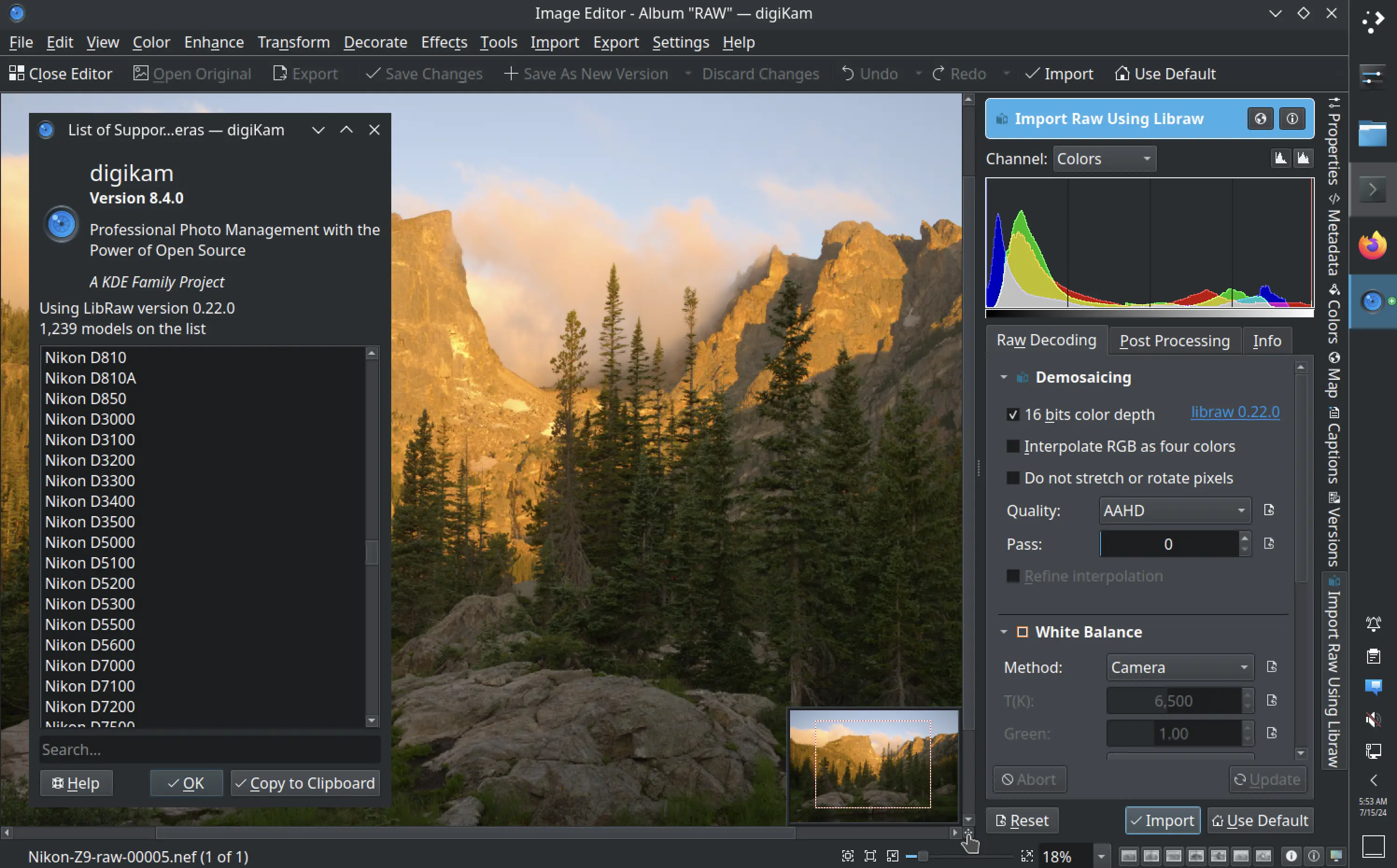 digiKam 8.4.0 RAW Import Tool for the Image Editor