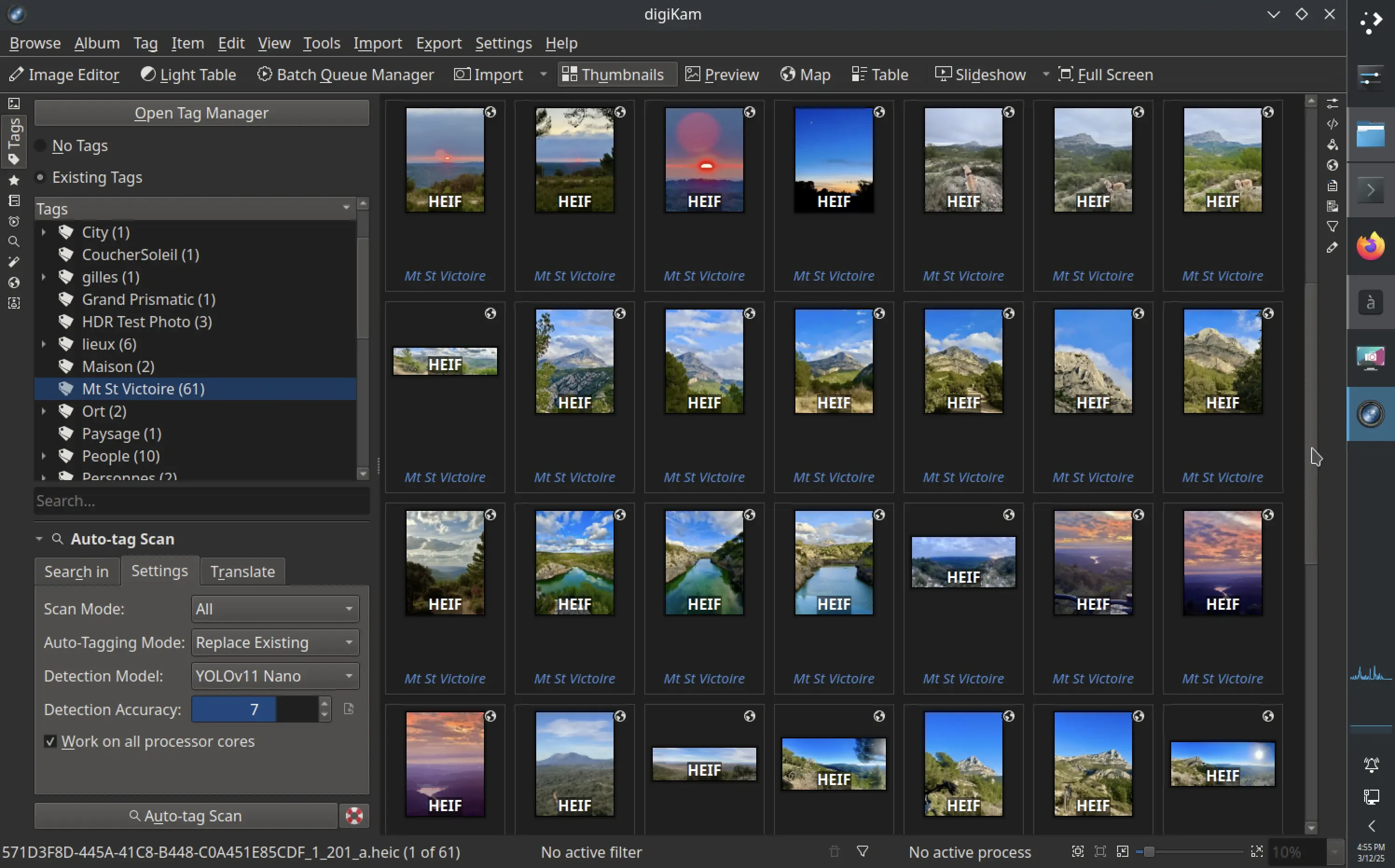 The digiKam 8.6.0 options from the Tags left sidebar tab to run the auto-tags scan over the collections