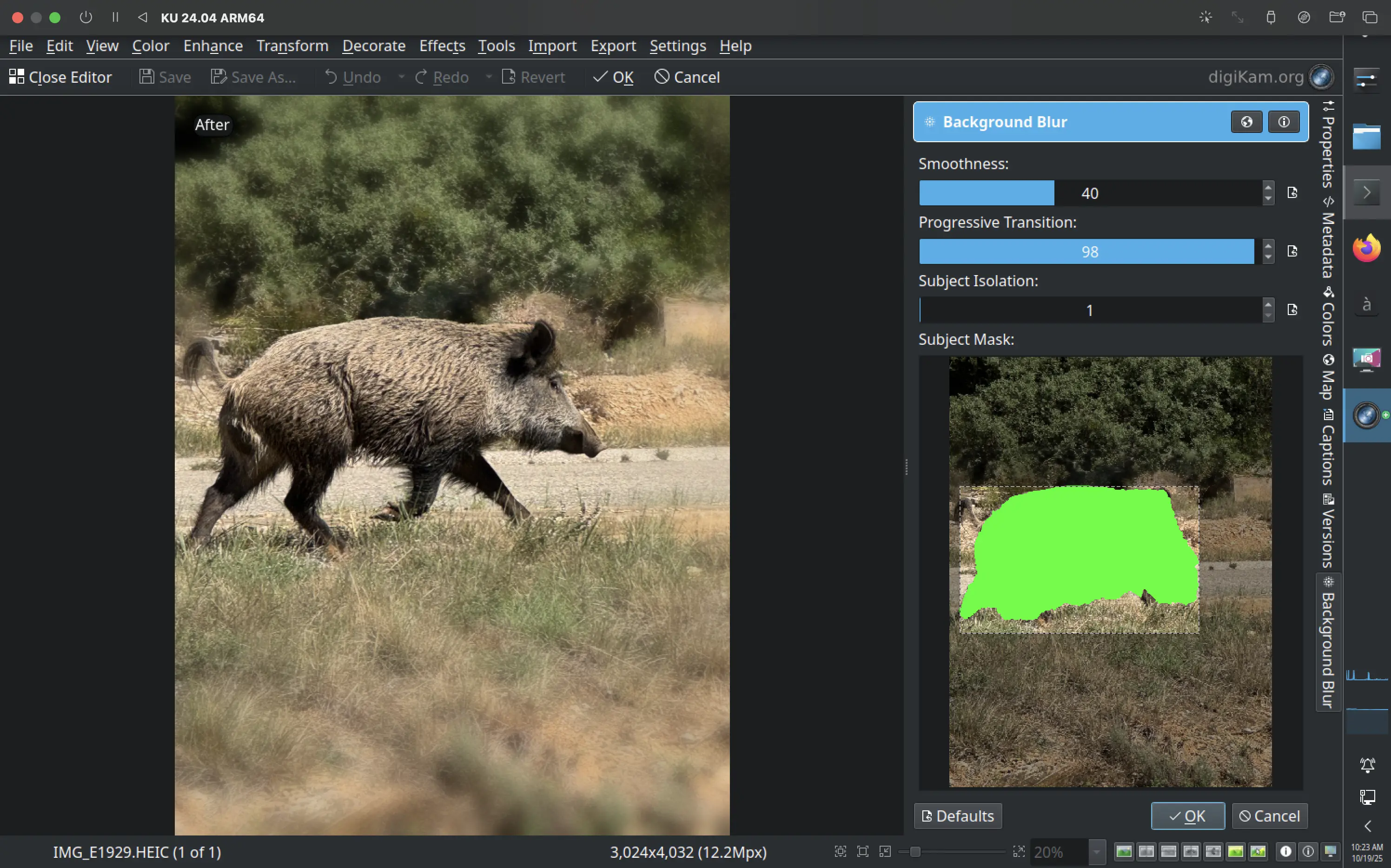 The new Background Blur tool in digiKam 8.8.0