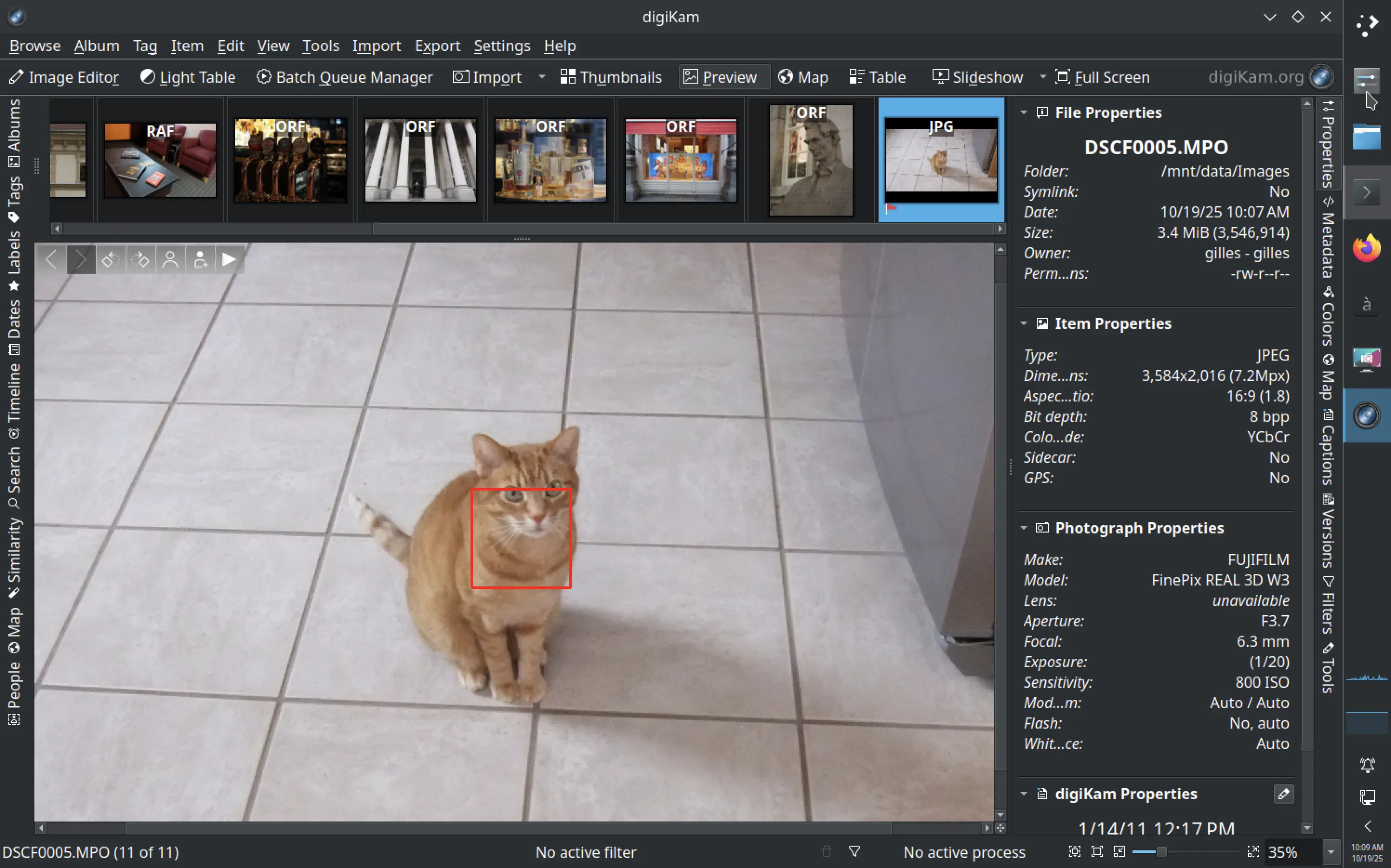 digiKam 8.8.0 previewing a shot from a Fujifilm camera with highlighted focus points