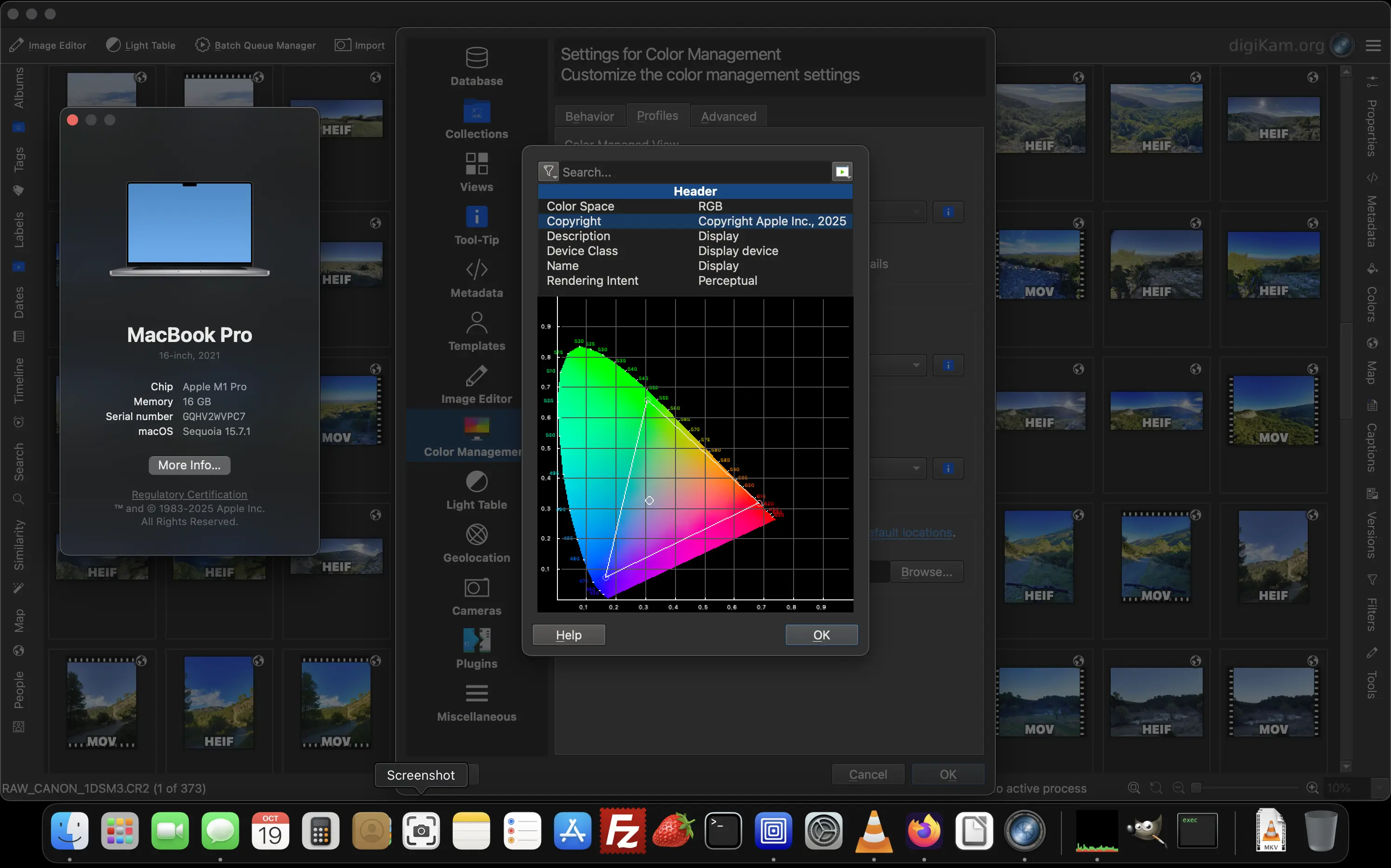 digiKam 8.8.0 Color Management panel detecting the macOS screen color profile from a MacBook Pro M1